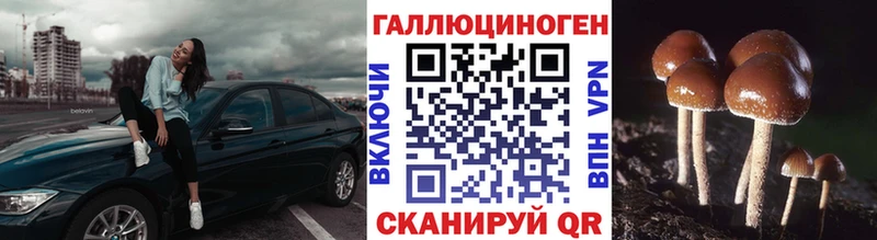 Галлюциногенные грибы Cubensis  Ивдель 
